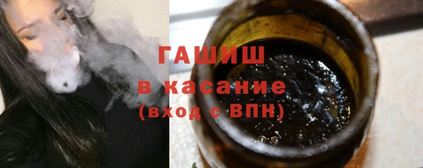 прущие грибы Алзамай