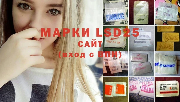 молекула духа Алексеевка