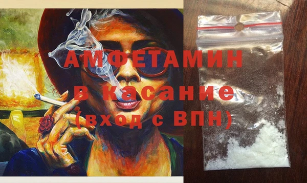 прущие грибы Алзамай